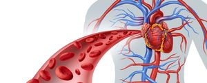 Lowering Cardiovascular Disease Risk for Patients With Diabetes 