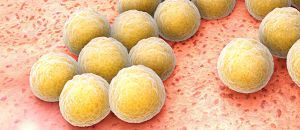 3 Hospital-Acquired Infection Tips for Health-System Pharmacists