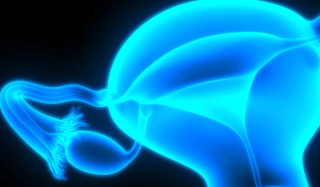 Mirvetuximab Is a Promising Agent for Patients with Difficult-to-Treat Platinum-Resistant Ovarian Cancer