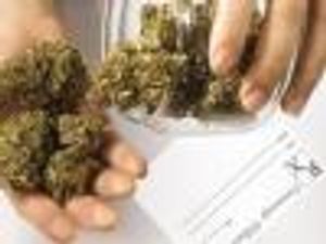 Marijuana Use May Improve Cirrhosis Risk in Patients With Hepatitis C