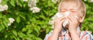 Does Phenylephrine Really Control Allergic Rhinitis Symptoms?