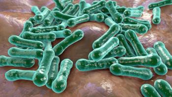 Bacteria Clostridioides difficile | Image Credit: Dr_Microbe - stock.adobe.com