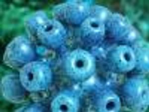 Hepatitis C Management: How Payers, Providers, and Pharmacies Can Work Together to Stem Costs