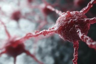 Navigating the Complexities of cGVHD Treatment in Pharmacy Practice