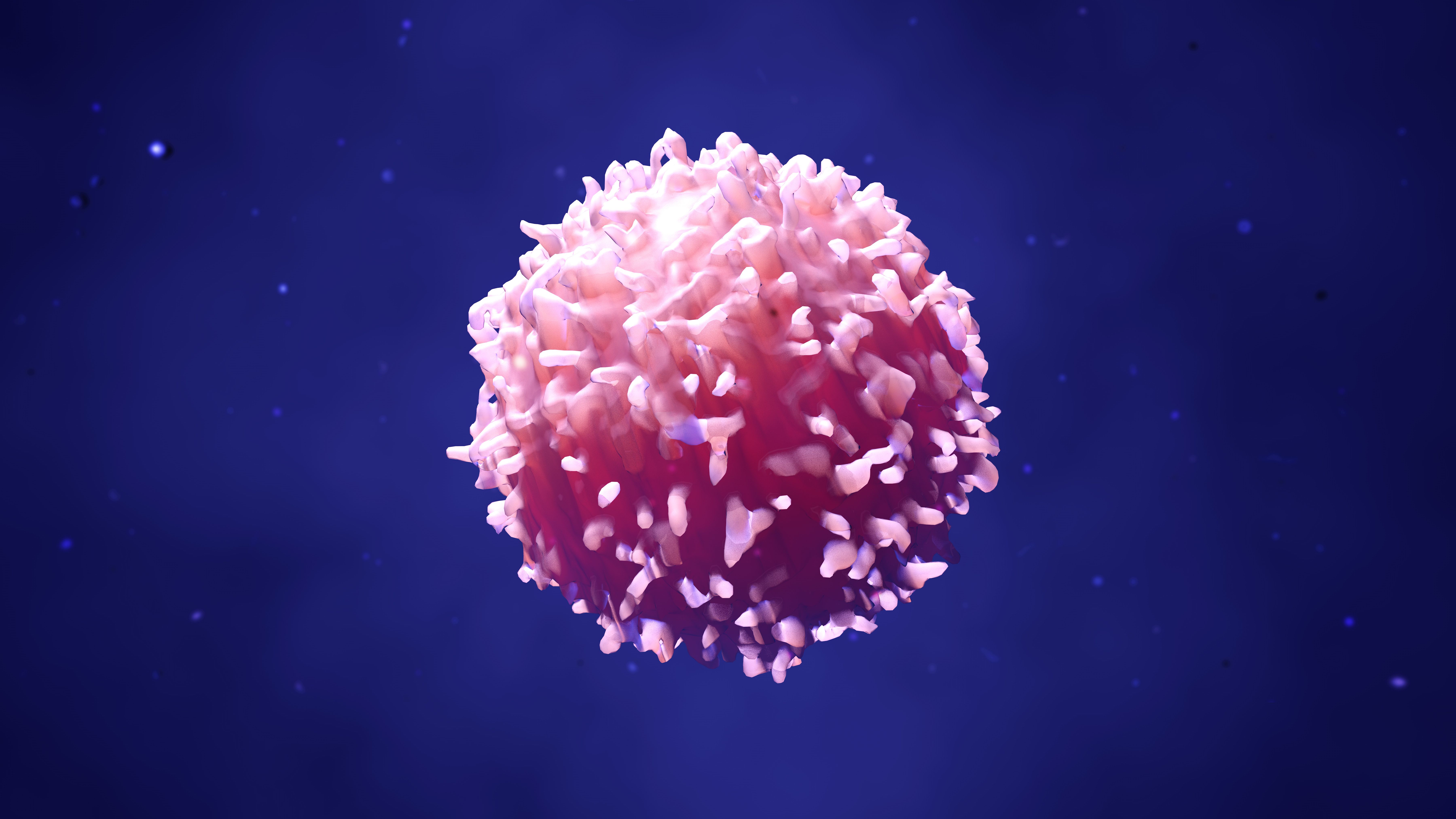 illustration lymphocytes, t cells or cancer cells | Image Credit: © Design Cells - stock.adobe.com