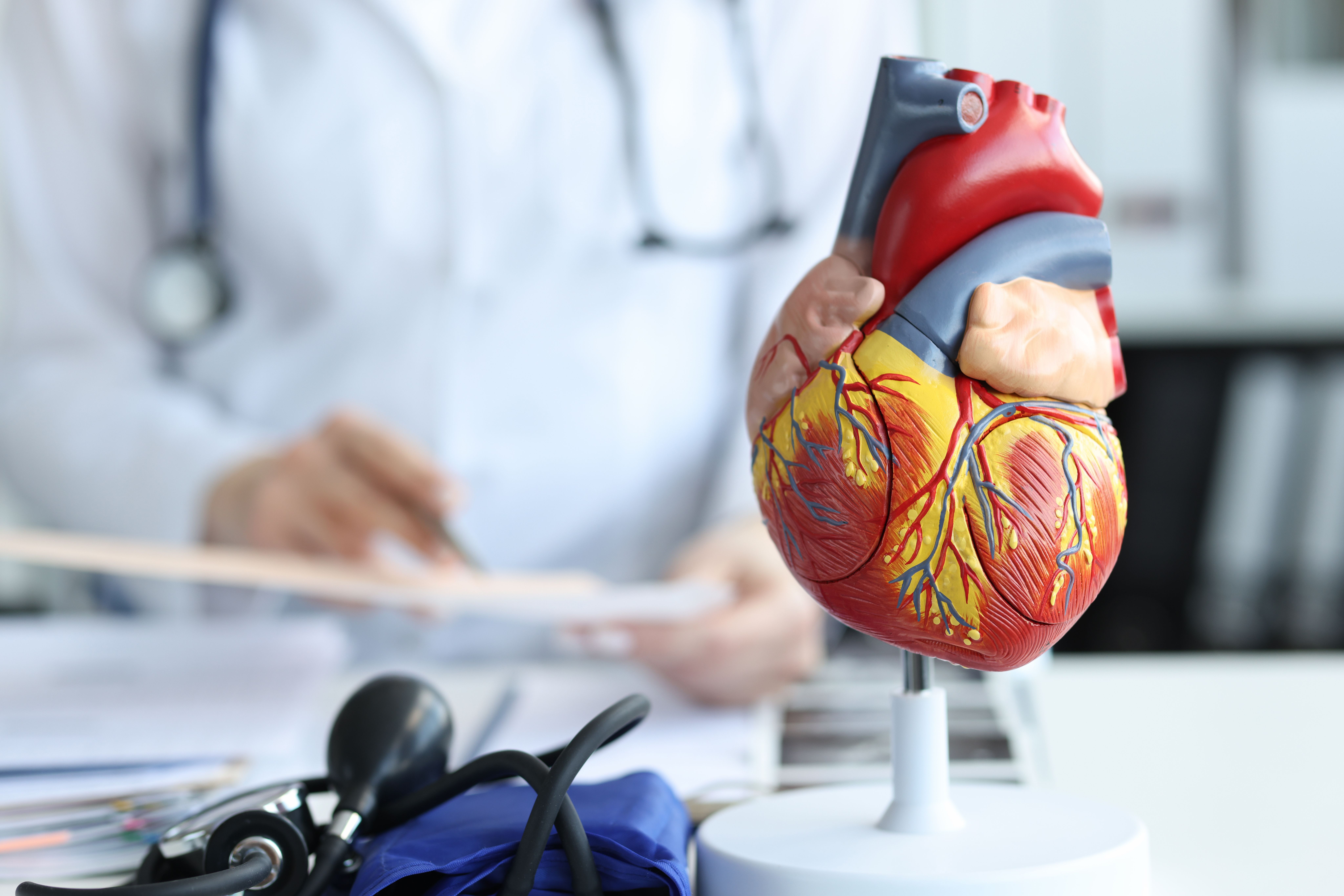 Cardiovascular health -- Image credit: H_Ko | stock.adobe.com