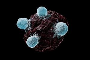 Tumor-Derived Antioxidant Protein May Drive Immunotherapy Resistance