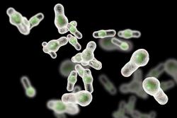Seres Releases Positive Phase 3 Results of SER-109 for Recurrent C. Difficile Infection