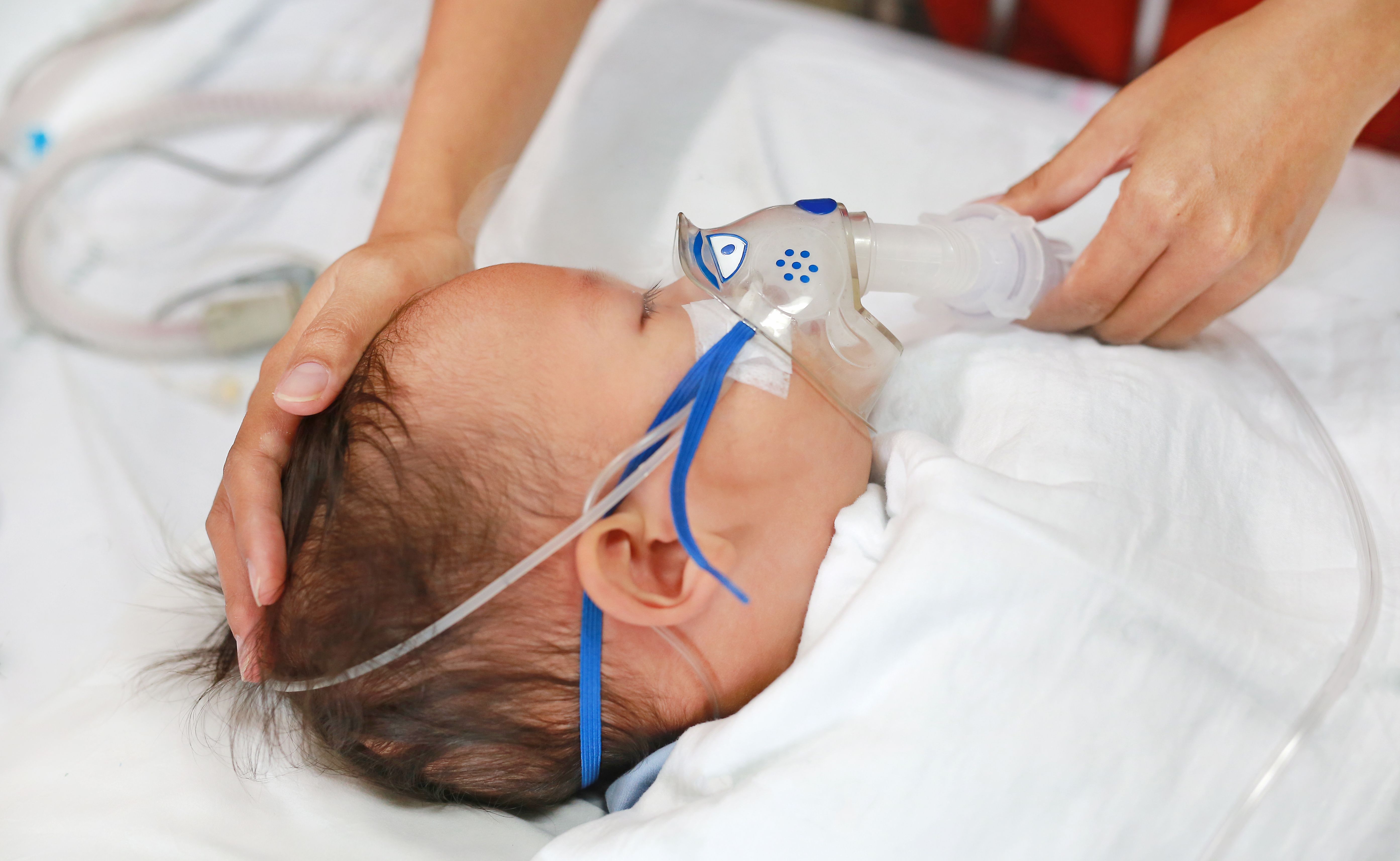 Toddler boy using nebulizer to cure asthma or pneumonia disease . Sick baby boy rest on patients bed and has inhalation therapy by the mask of inhaler. Respiratory Syncytial Virus (RSV) - Image credit: zilvergolf | stock.adobe.com