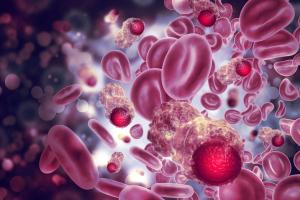 Mezigdomide Plus Elranatamab Produces Significant Response in Early MELT-MM Analysis