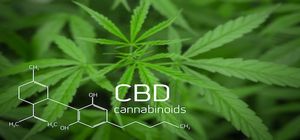 Cannabidiol Presents Conundrums