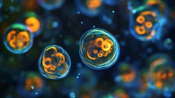 Ethnicity Affects Survival Following Stem Cell Transplant in Patients With Hematologic Disorders