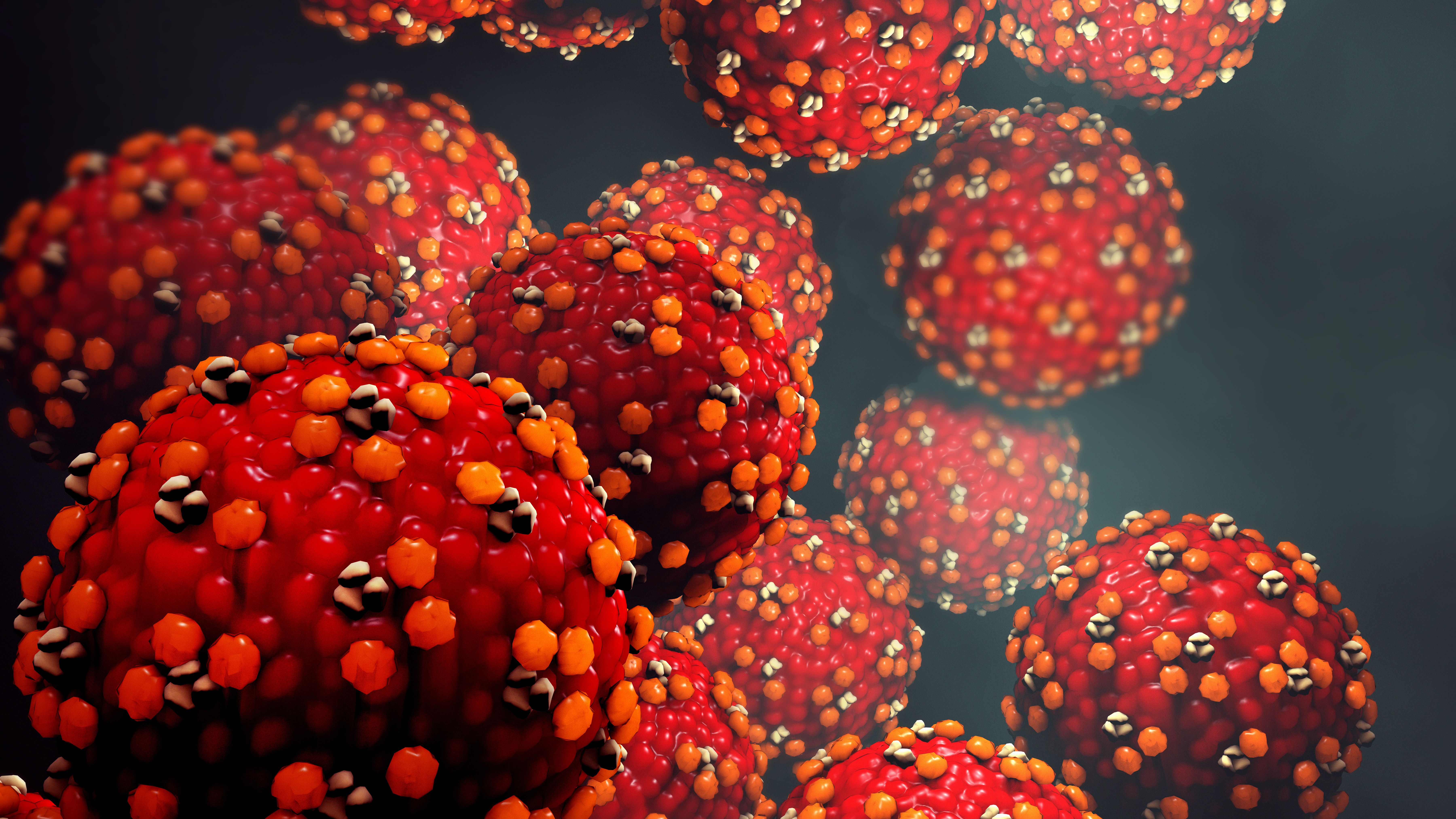 Measles virus or virus - Image credit: Design Cells | stock.abobe.com Measles virus or virus - Image credit: Design Cells | stock.abobe.com