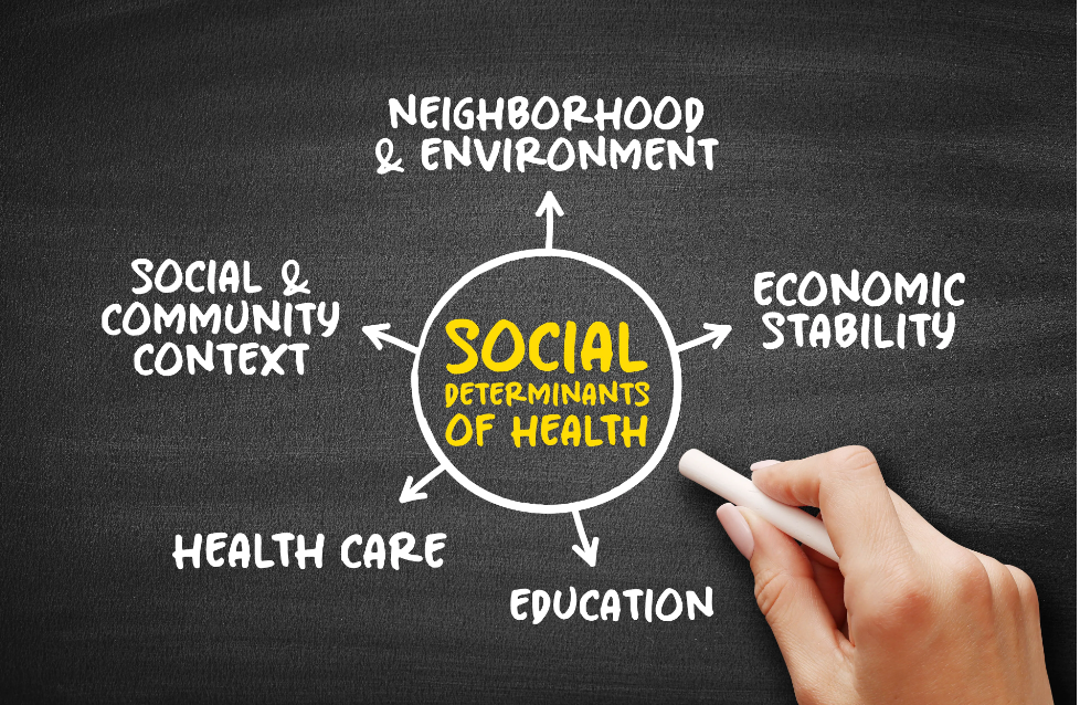 Credit: dizain - stock.adobe.com