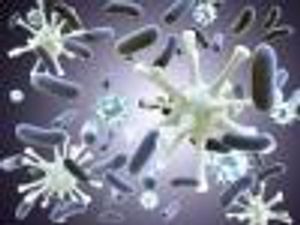 HIV Prevention and Treatment May Be All in the Antibodies