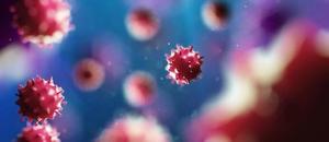 Hepatitis B Virus: Who Is at Risk, and What Can We Do?