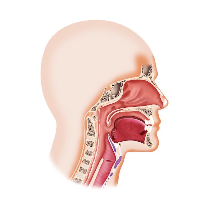 Nasal Polyps Pose Treatment Challenges