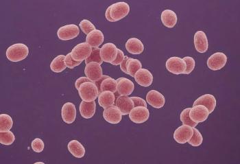 Streptococcus pneumoniae bacteria, 3D scientific illustration
