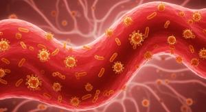 Bacteria and viruses in bloodstream, infection and immune system response medical concept