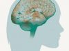 Vanderbilt University and Bristol-Myers Squibb Sign Collaboration Agreement to Develop Novel Treatments for Parkinson's Disease