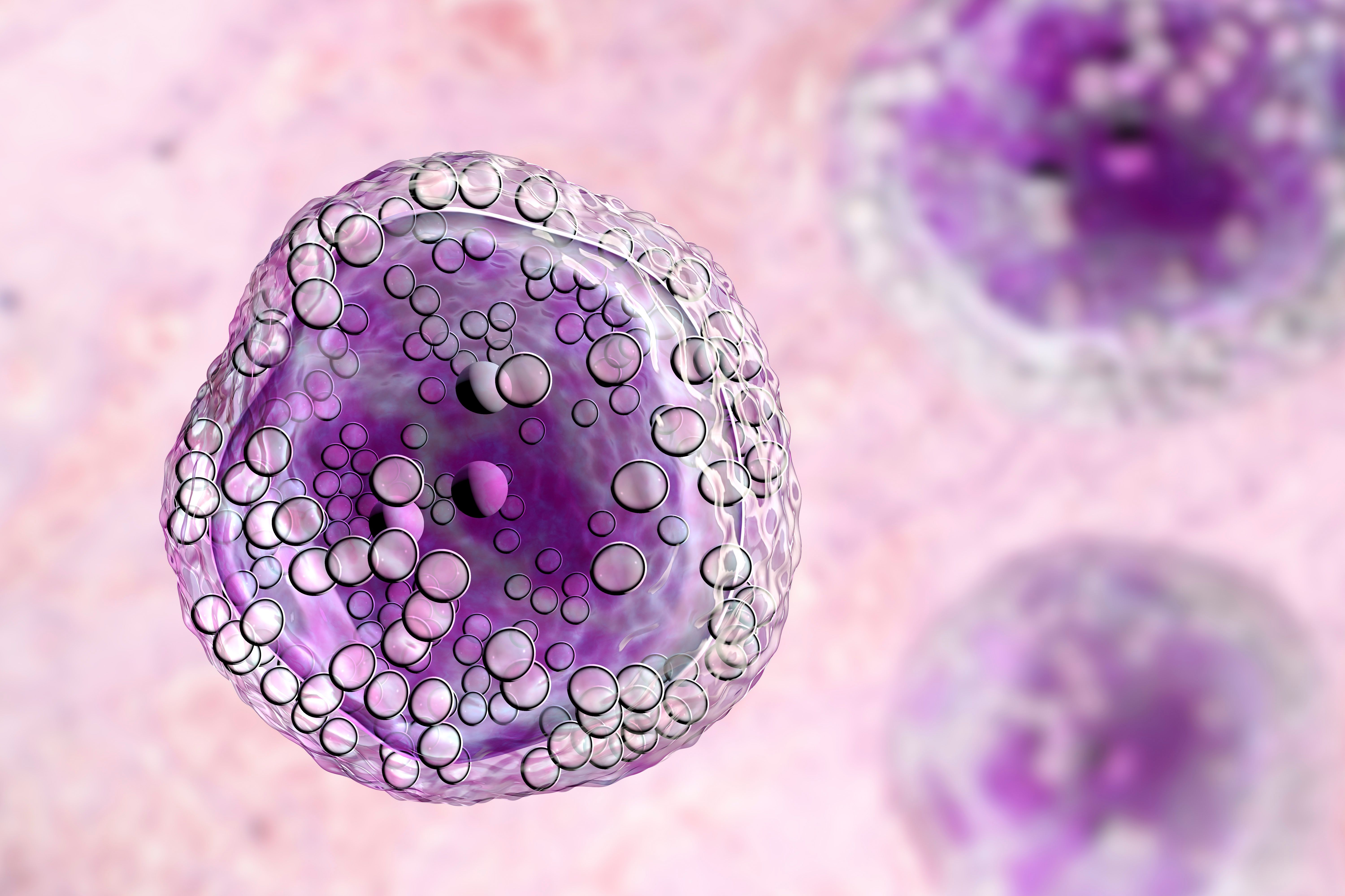 Lymphoma cell | Image Credit: © Dr_Microbe - stock.adobe.com