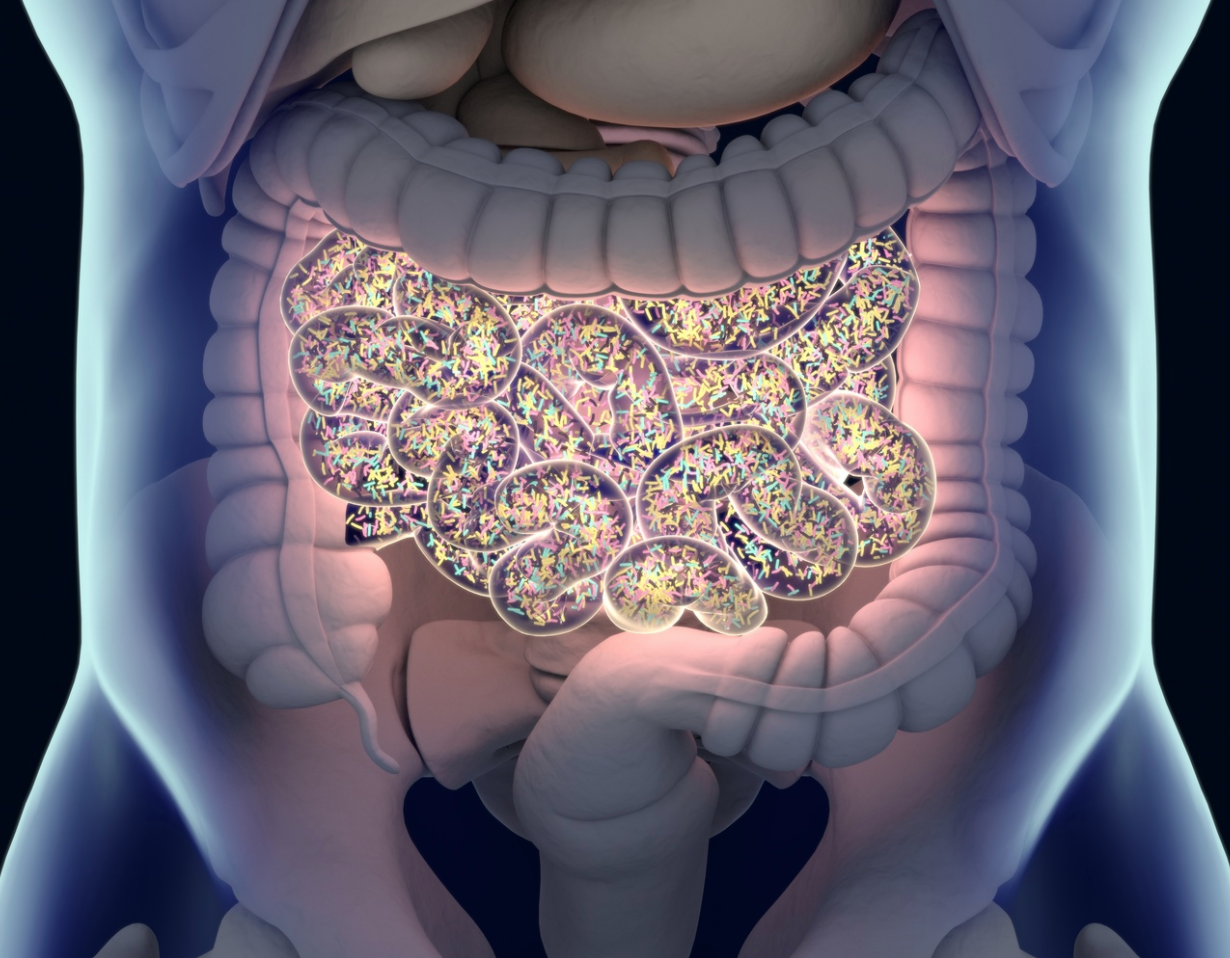 Fecal Transplant Offers Multiple Benefits for Patients With C Diff, COVID-19 Co-Infection