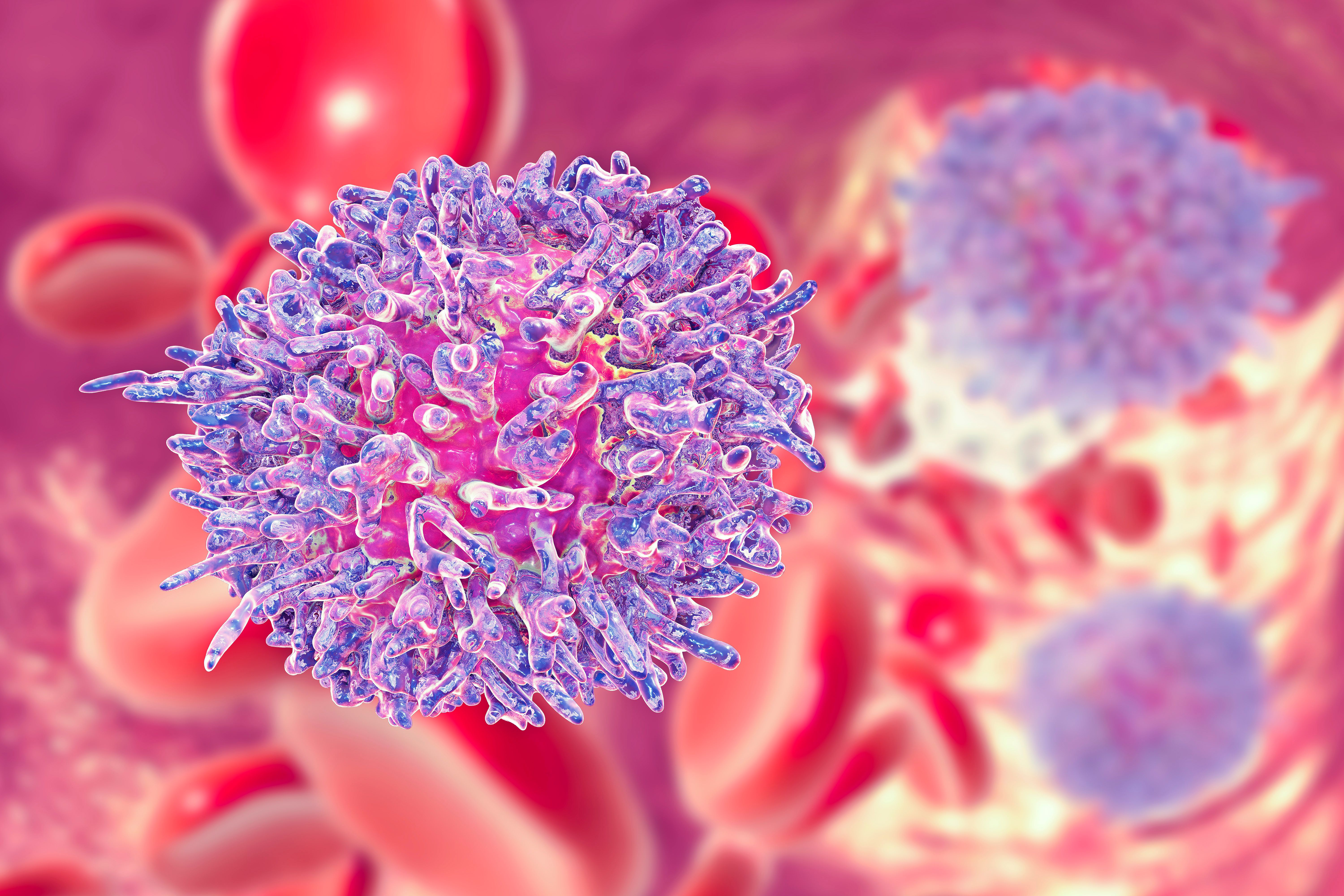 Chronic leukemia cells in blood -- Image credit: Dr_Microbe | stock.adobe.com