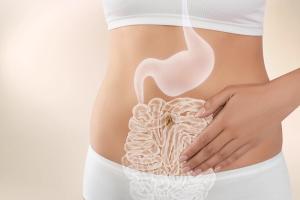 Woman with healthy digestive system on light background, closeup. Illustration of gastrointestinal tract - Image credit: New Africa | stock.adobe.com
