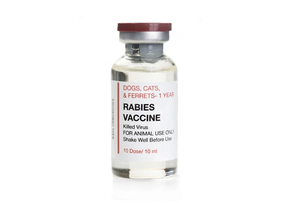 Human Rabies Immunoglobulin Post-Exposure Prophylaxis