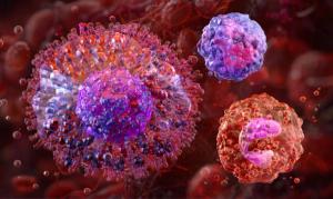 Image credit: Corona Borealis | stock.adobe.com