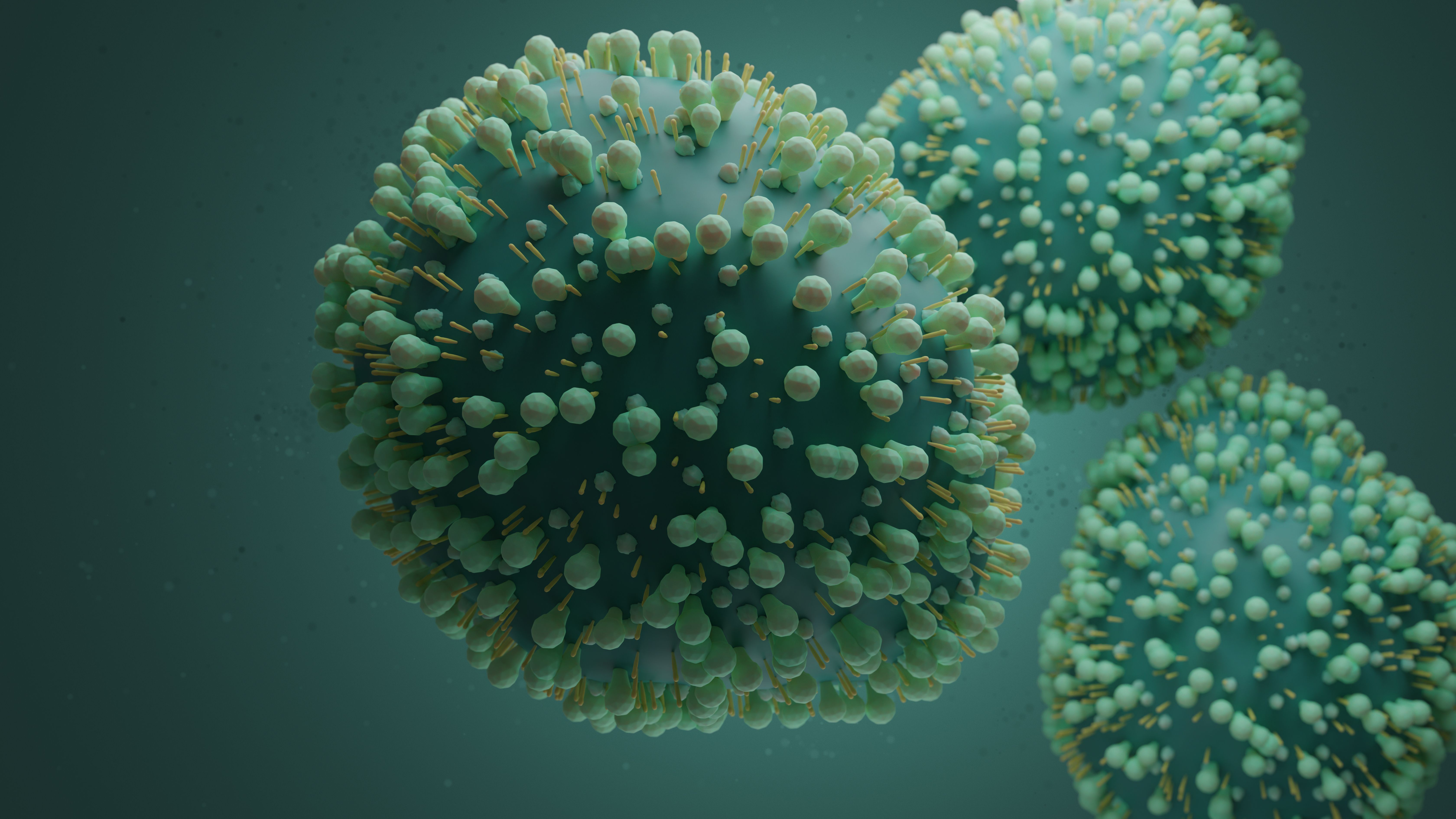 Respiratory syncytial virus or RSV, 3d rendering medical illustration, or human orthopneumovirus - Image credit: Josh | stock.adobe.com