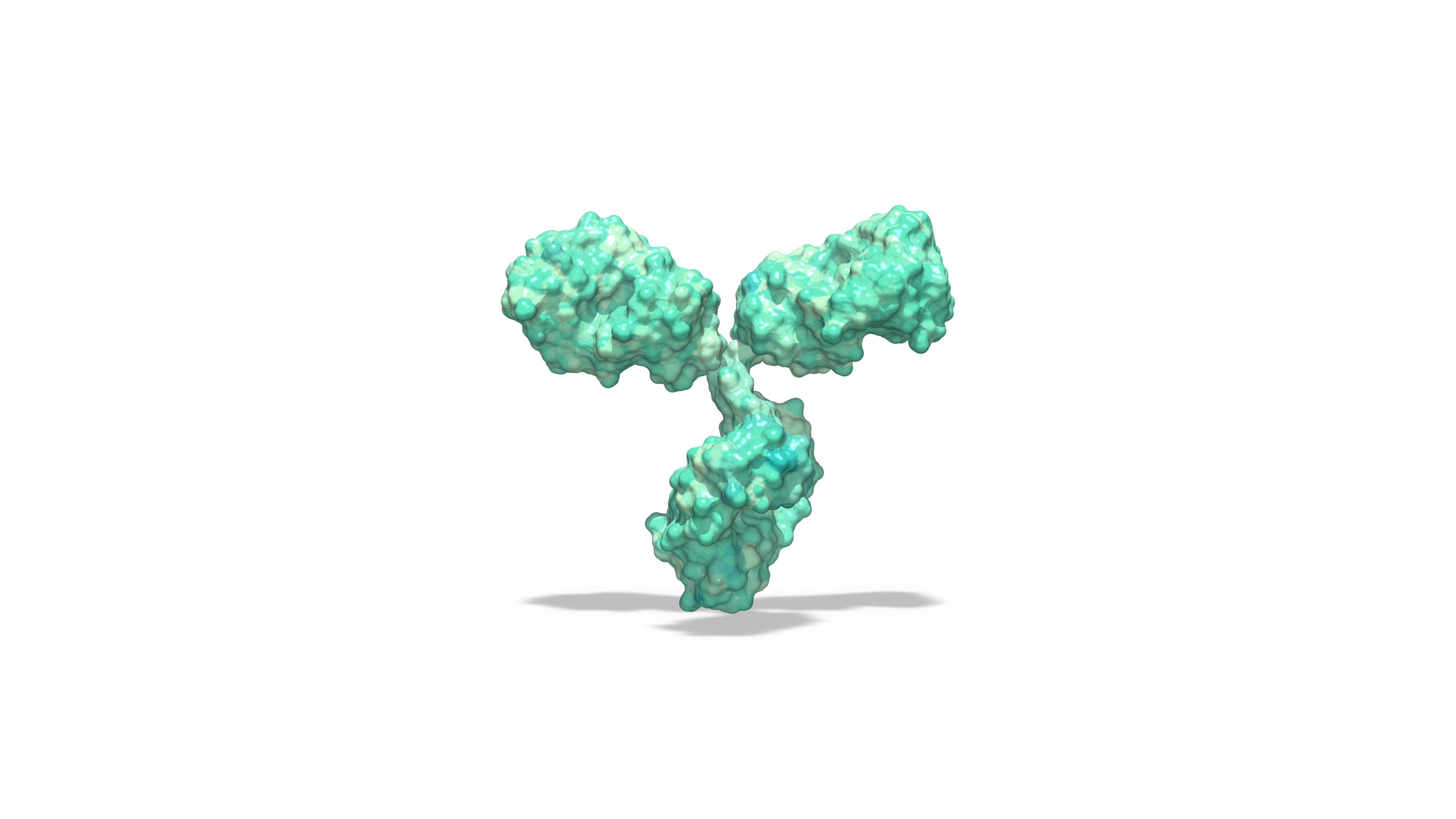 Molecular model of bispecific antibody, BiTE | Image Credit: © huenstructurebio.com - stock.adobe.com