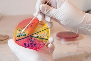 Analysis on Use on MRSA Nasal Swabs to Rule Out MRSA Pneumonia