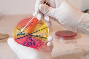 Analysis on Use on MRSA Nasal Swabs to Rule Out MRSA Pneumonia