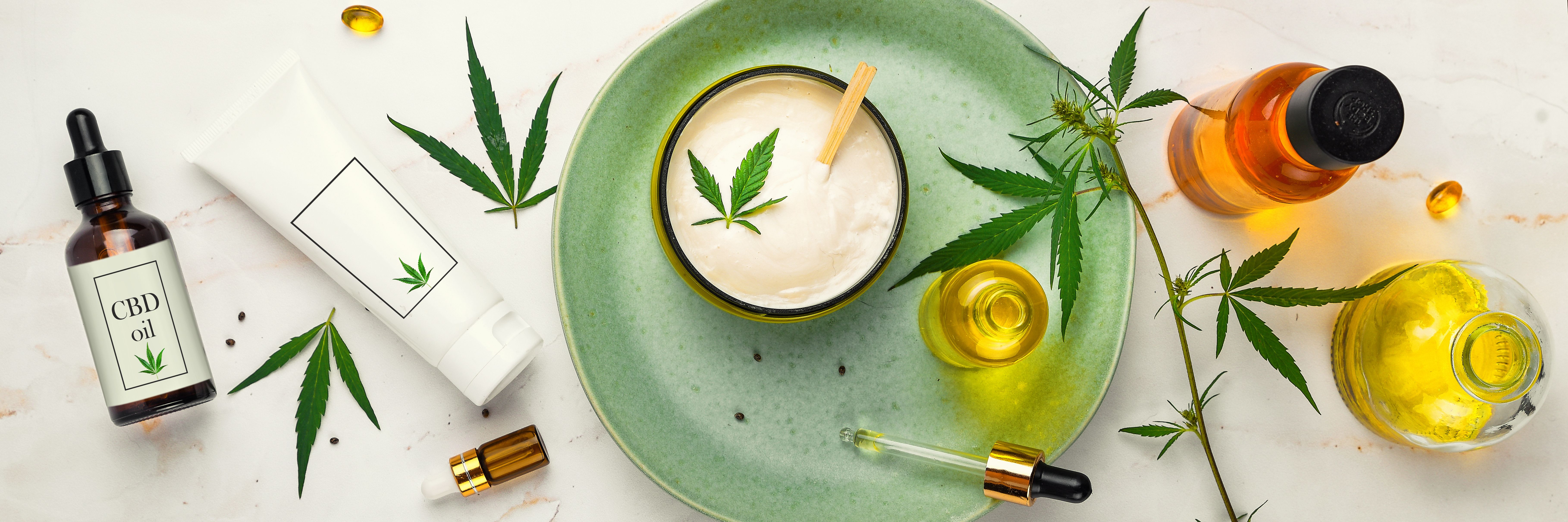 Navigating the Landscape of Cannabis Use in Oncology