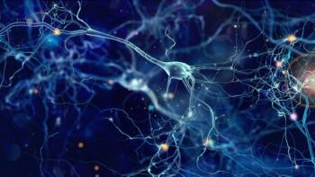 Neurons cells concept