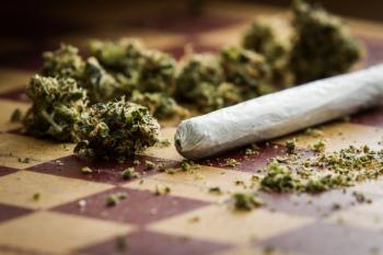 marijuana joint closeup - Image credit: wollertz | stock.adobe.com