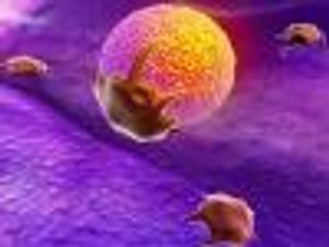 Just Half of HIV Patients on ART Receive Recommended Regimen