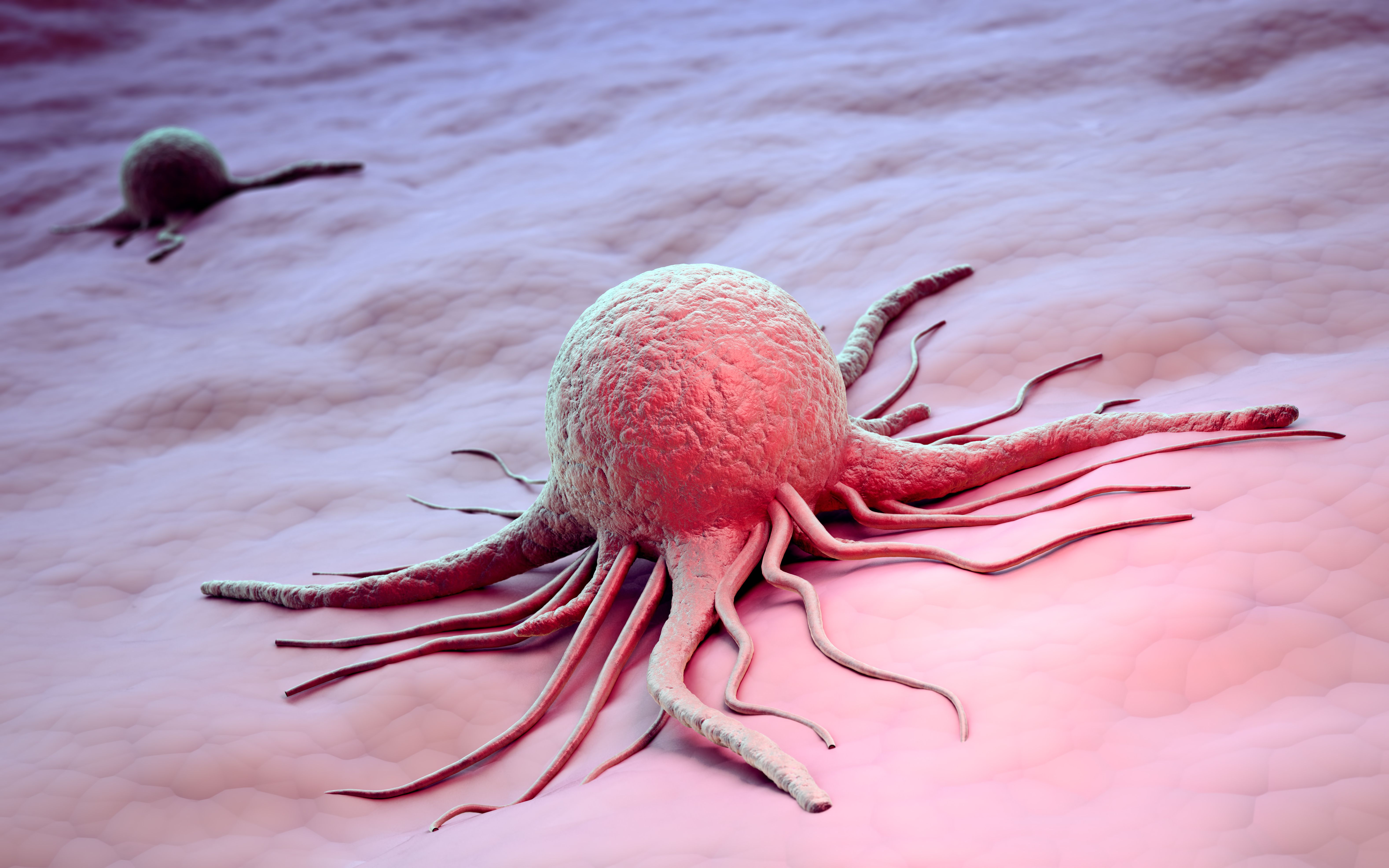Breast cancer cell | Image Credit: © Mopic - stock.adobe.com