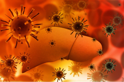 Coexisting Hepatitis B Surface Antigens, Antibodies Lead to More Severe Liver Disease