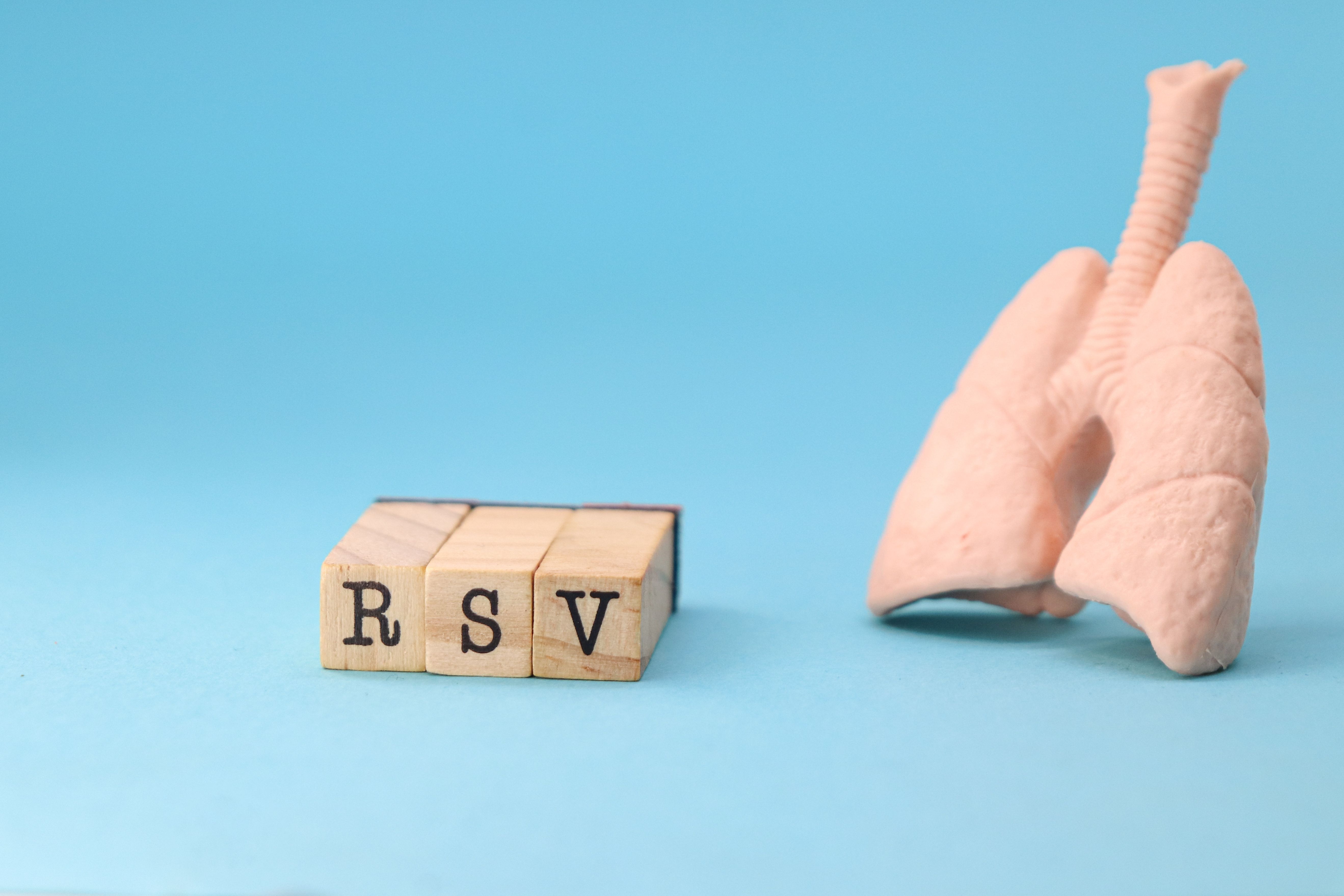 RSV (Respiratory Syncytial Virus) on blue background with a lung - Image credit: PH alex aviles | stock.adobe.com