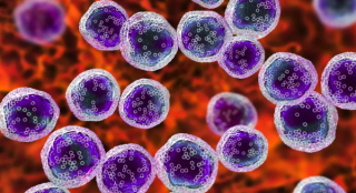 Credit: Dr_Microbe - stock.adobe.com