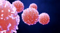 Understanding the Patient Selection Process for CTCL Treatment