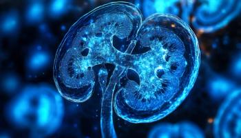 Image of kidneys without fibrosis -- Image credit: Itsaree | stock.adobe.com