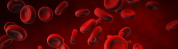 Red blood cells