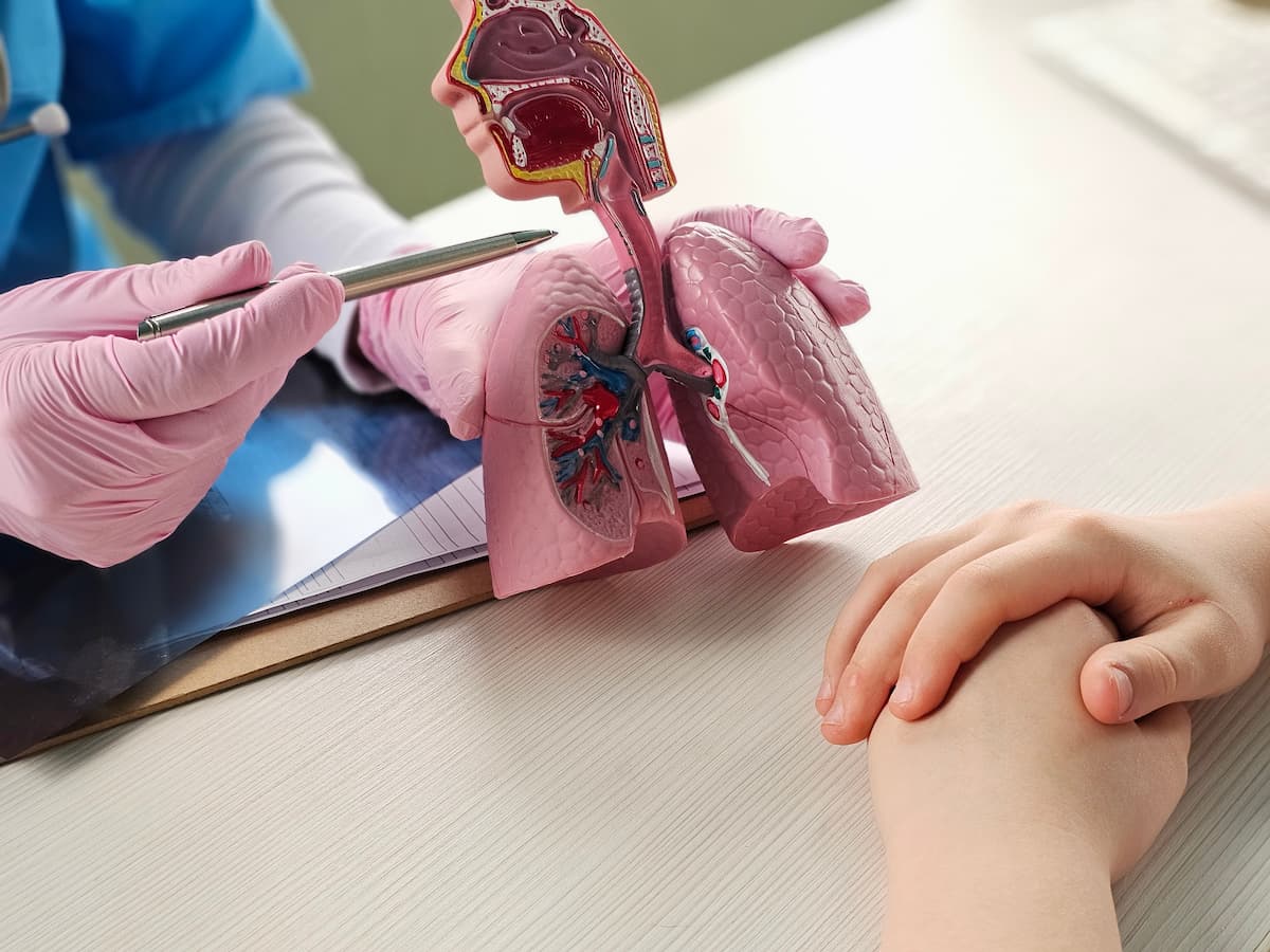 The doctor provides a detailed explanation of the human respiratory system using a model of lung concept.
