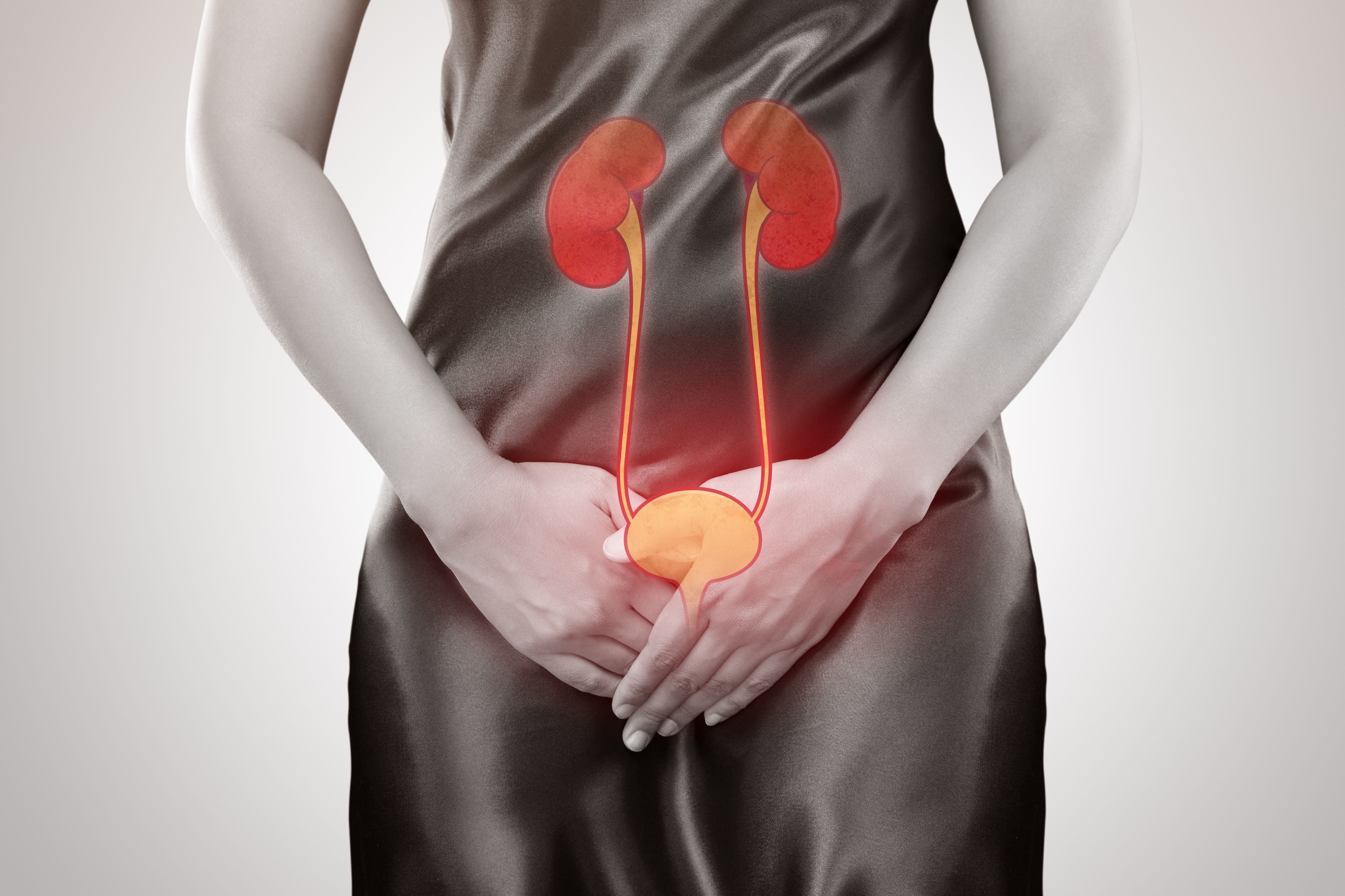 Woman with pain from UTI -- Image credit: eddows | stock.adobe.com