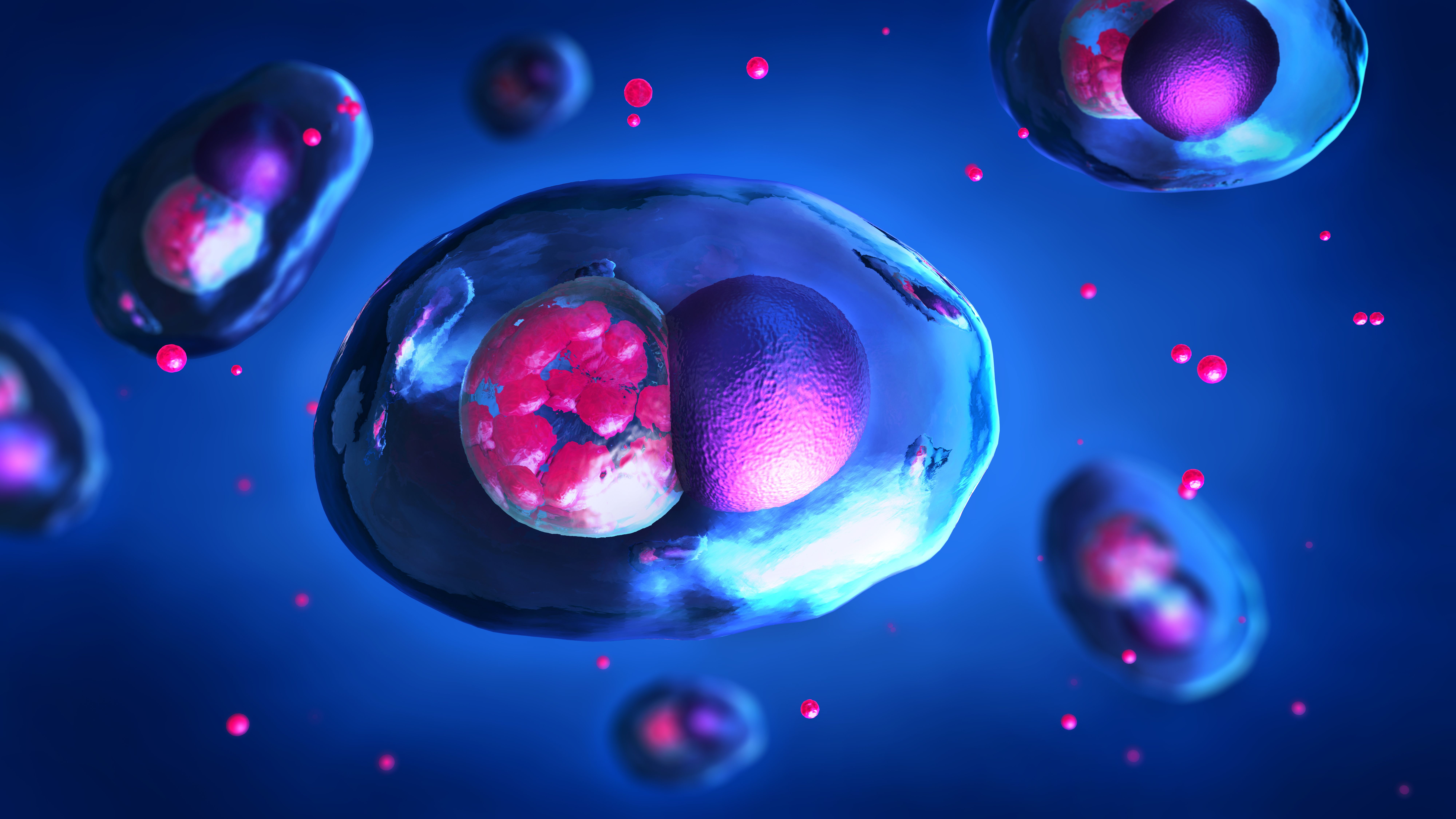 Magnified pathogenic Chlamydia bacteria causing several diseases - 3d illustrationImage credit: Christoph Burgstedt | stock.adobe.com