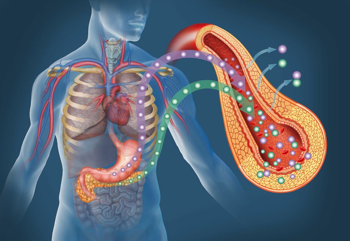 Types of diabetes
