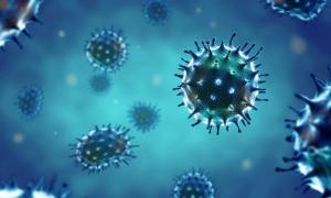 Covid 19 or flu or monkeypox virus 3d | Image Credit: Feydzhet Shabanov | stock.adobe.com